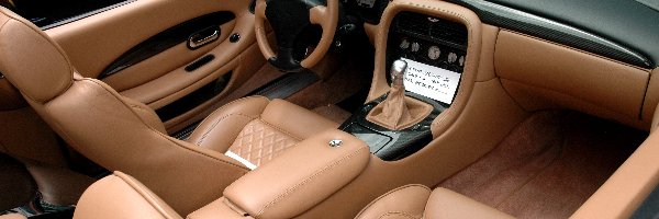 Skóra, Wnętrze, Aston Martin DB AR1