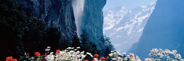Wodospad, Góry, Kwiaty