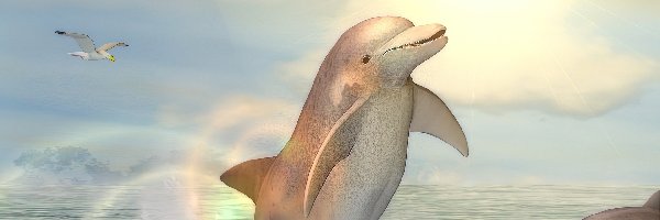 3D, Morze, Delfiny