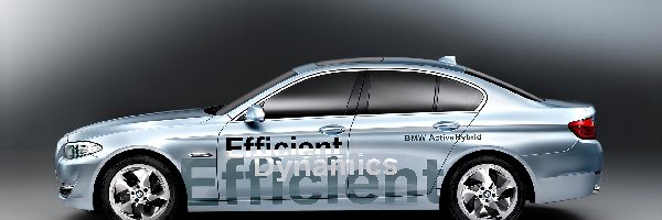 Hybryda, Efficient, BMW F10