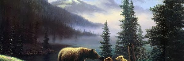 Góry, Niedźwiedzie