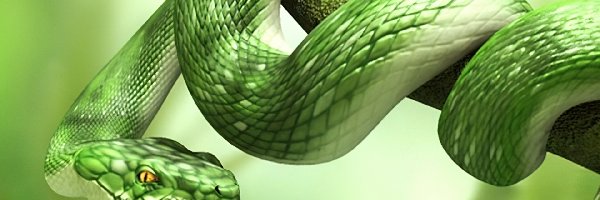 Gałąź, Wąż, Zielony