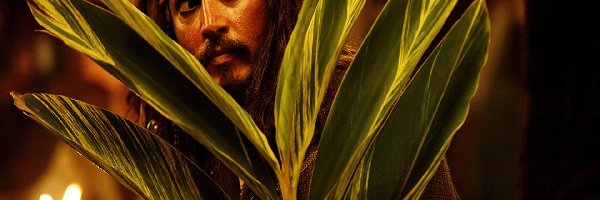liście, Johnny Depp, piraci_z_karaibow_2
