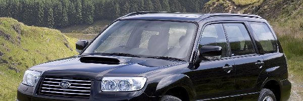 4x4, Subaru Forester, SUV