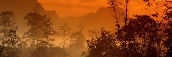 Drzewo, Góra, Zachód Słońca, Tajlandia