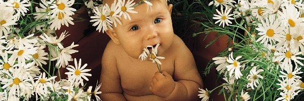 Kwiatki, Dziecko, Małe