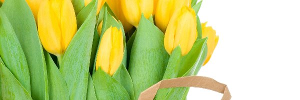 Tulipany, Torba, Papierowa, Żółte