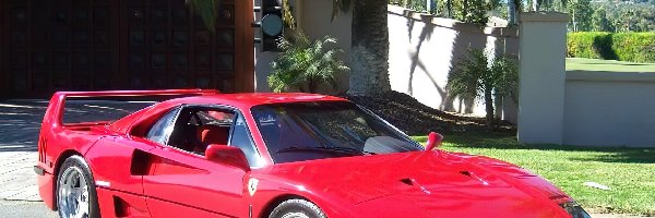 Palma, Ferrari F40