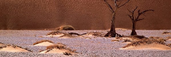 Afryka, Namib