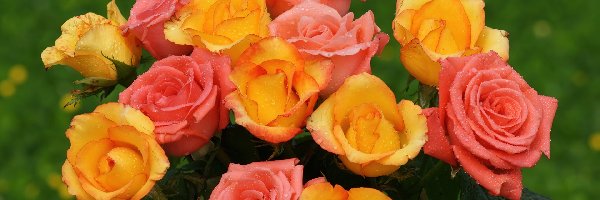 Różowy, Róż, Bukiet, Pomarańczowo