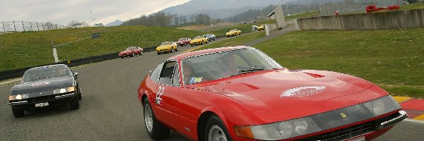 Ferrari Daytona, Miłośników, Zlot