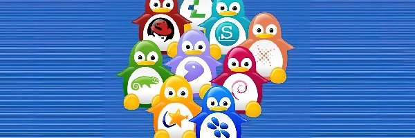 Pingwinów, Gromadka, Linux