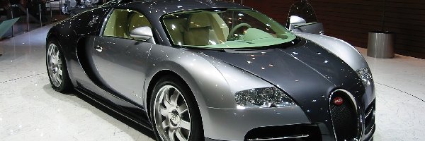 Srebrny, Targi, Czarny, Bugatti Veyron