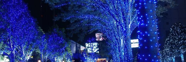 Święta, Japonia, Tokio