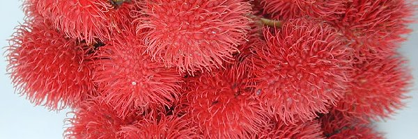 Owoce, Rambutan