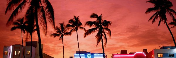 Miami, Neony, Hotele, Floryda