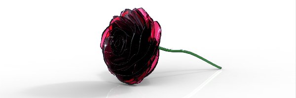 3D, Róża