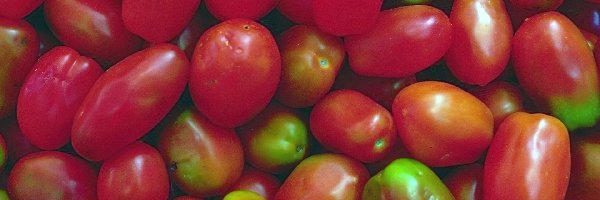 Zielone, Pomidory, Podłużne, Czerwono