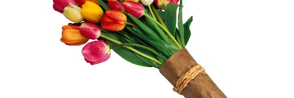 Tulipanów, Różnokolorowych, Bukiet
