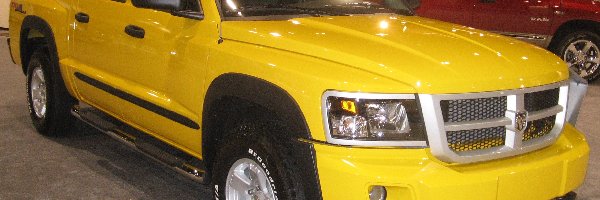 Dodge Dakota, Żółty, Dealer