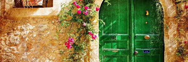 Zielone, Kwiaty, Drzwi, Dom