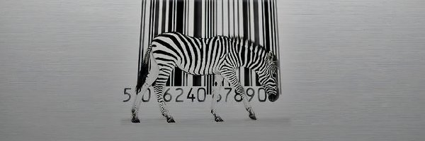 Kreskowy, Kod, Zebra