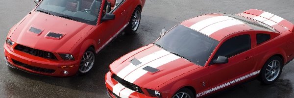 Cabrio, Ford Mustang, Mustang Shelby