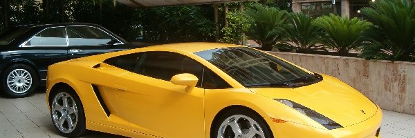 Lamborghini Gallardo, Żółty
