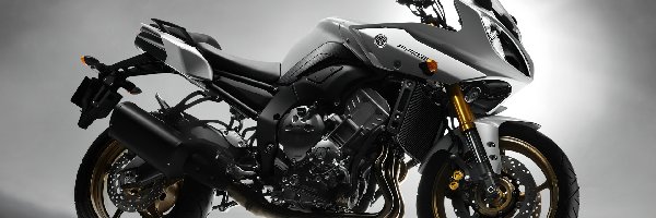 2011, Model, Yamaha FZ8