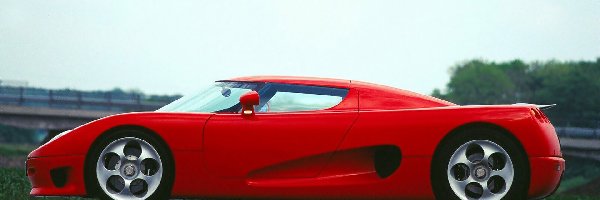 Lewy Profil, Koenigsegg