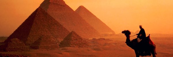 Wielbłąd, Piramidy