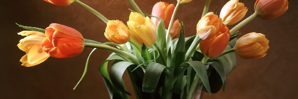 Wazon, Szklany, Tulipany