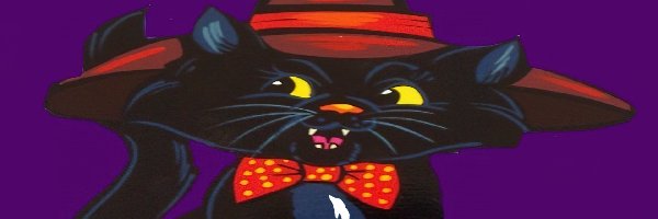 czarny kot, Halloween