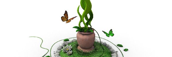 Roślina, Motylki, Doniczka, Zielona
