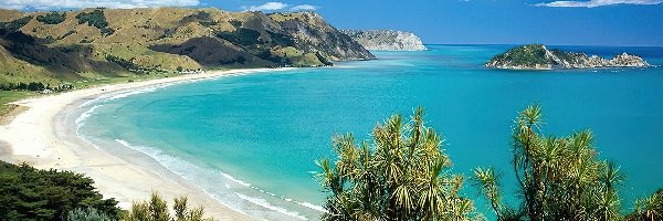 Morze, Wysepka, Plaża, Nowa Zelandia, Roślinność