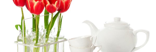 Tulipany, Zastawa, Biała, Czerwone