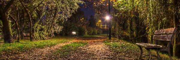 Park, Ławka, Wieczorem, Lampy, Drzewa