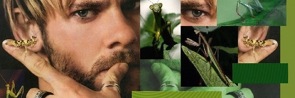 oko, owady, Dominic Monaghan