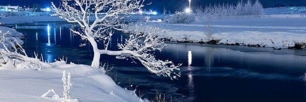 Drzewo, Noc, Zimowa, Jezioro