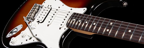 Fender Stratocaster, Elektryczna, Gitara