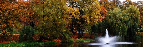 Park, Kolorowe, Jesienią, Fontanna, Drzewa