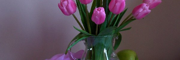 Tulipany, Szal, Jabłko, Różowe