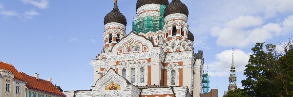 Tallin, Aleksandra, Katedra, Kamienice, Newskiego