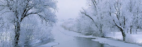 Drzewa, Mróz, Śnieg, Rzeka