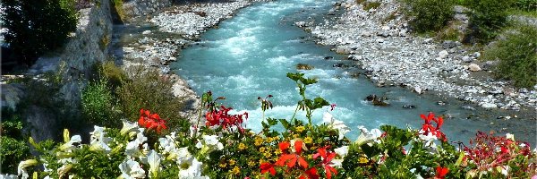 Kwiaty, Kamienie, Rzeka