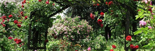 Różany, Ogród