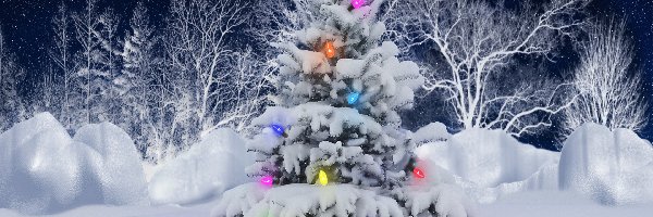 Oświetlona, Drzewa, Choinka, Świątecznie, Zima