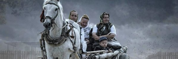 Dziecko, Wóz, Koń, Kobiety