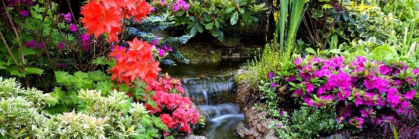 Ogród, Kolorowe, Kaskada, Azalie, Różaneczniki