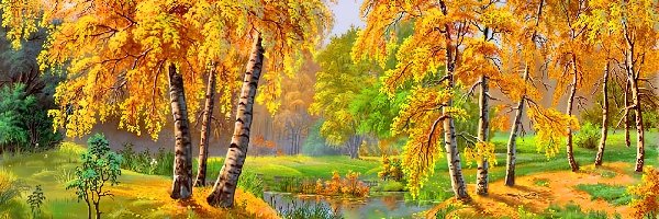 Drzewa, Rzeka, Jesień